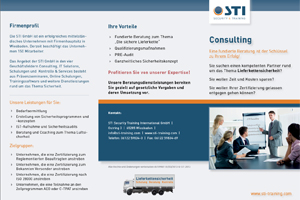 STI Consulting Flyer