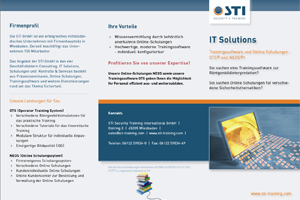 STI IT Solutions Flyer